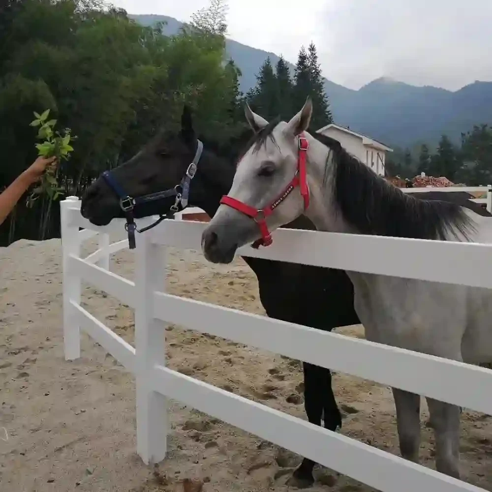 PVC Horse Fence PVC Horse Fence