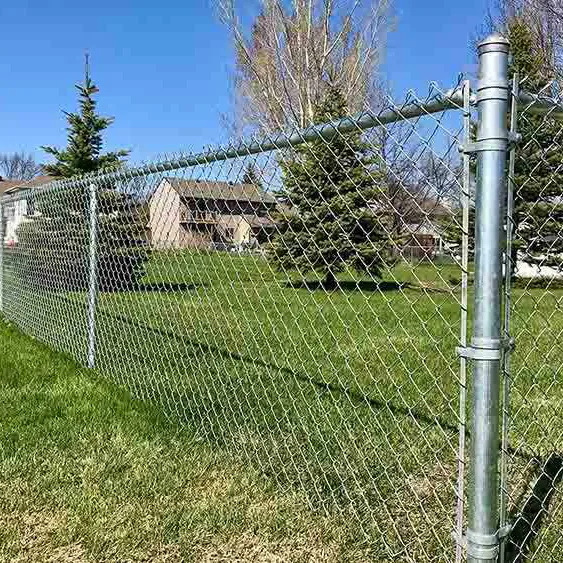 12 gauge wire mesh