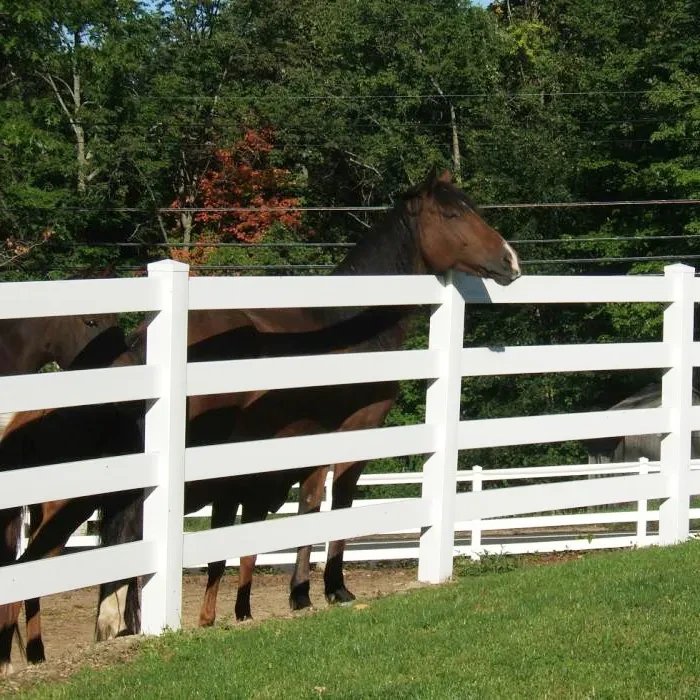 stock fencing suppliers