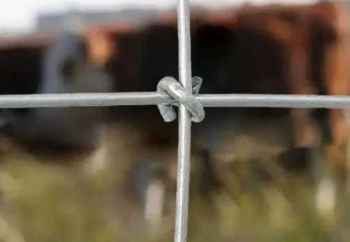 wholesale iron fencing