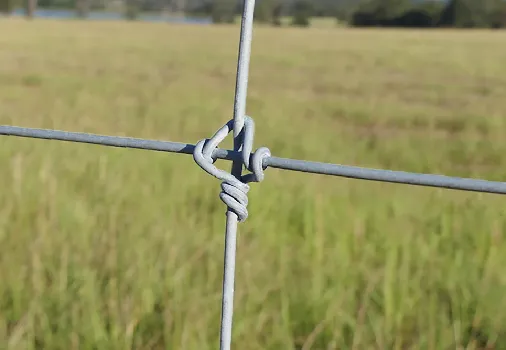 2 welded wire mesh
