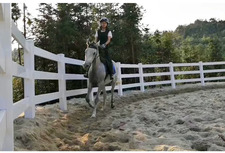 pvc horse fence